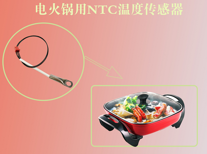 火锅炉用NTC温度传感器.png